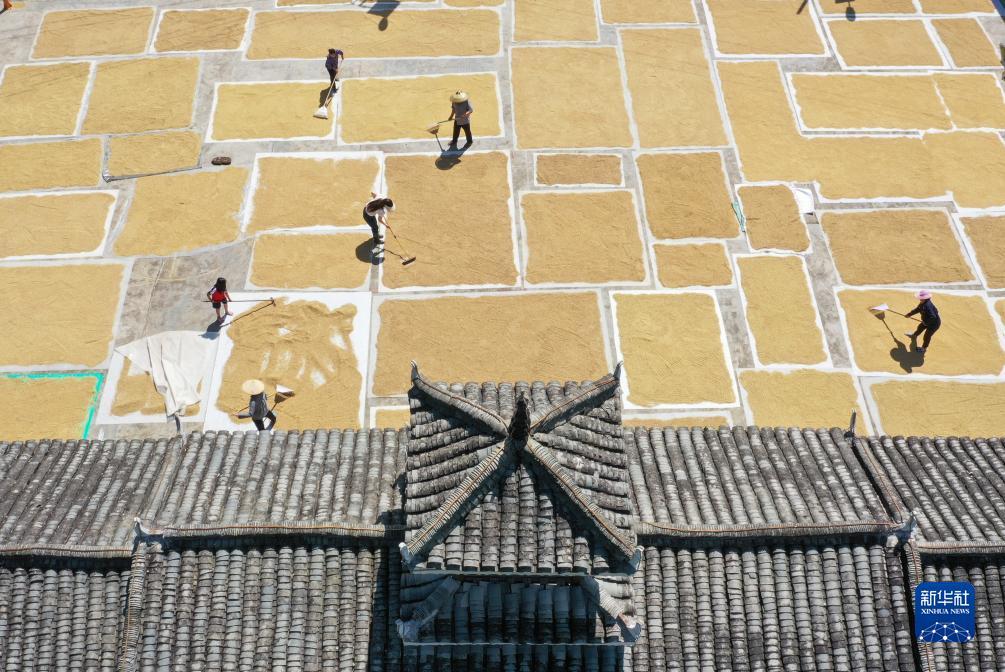 威尼斯娱乐人城
